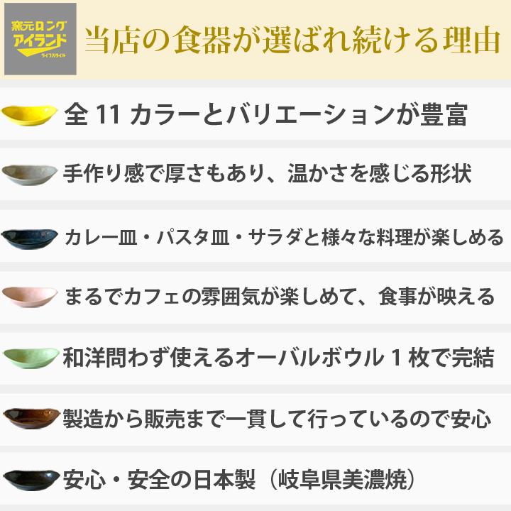 食器 おしゃれ 皿 カレー皿 オーバル お皿 プレート 陶器 和食器 美濃焼 日本製 楕円 深皿 食洗機対応 カレー皿＆パスタ皿 24cm （全11色）｜long-greenlabel｜13