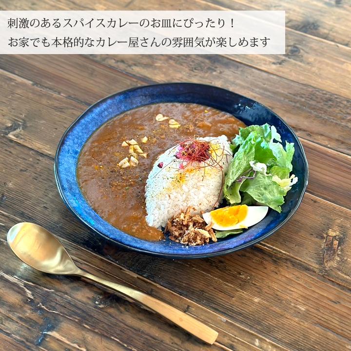食器 和食器 窯変紺ネイビー カレー皿 24cm パスタ サラダ おしゃれ お