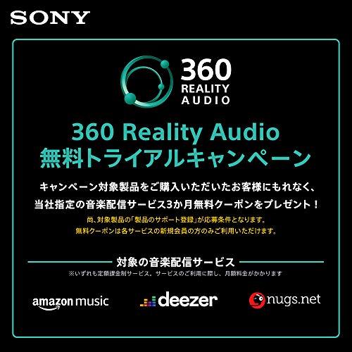 ソニー ウォークマン純正アクセサリー IER-NW510N : ハイレゾ対応ノイキャンイヤホン IER-NW510N B : NW-A105HN IER NW510N NW