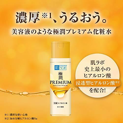 販売実績No.1肌ラボ 極潤プレミアム ヒアルロン液 (x 170ミリリットル