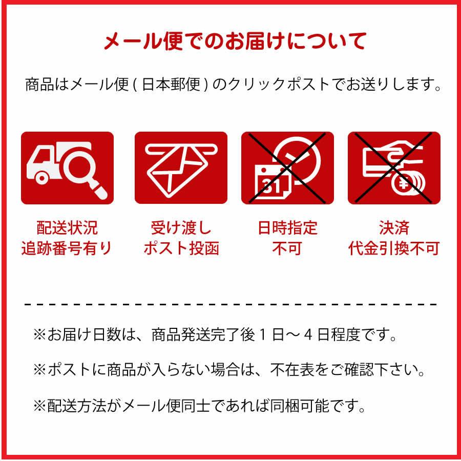 ノグのusb充電式自転車用ライト blinder mini 前後セット