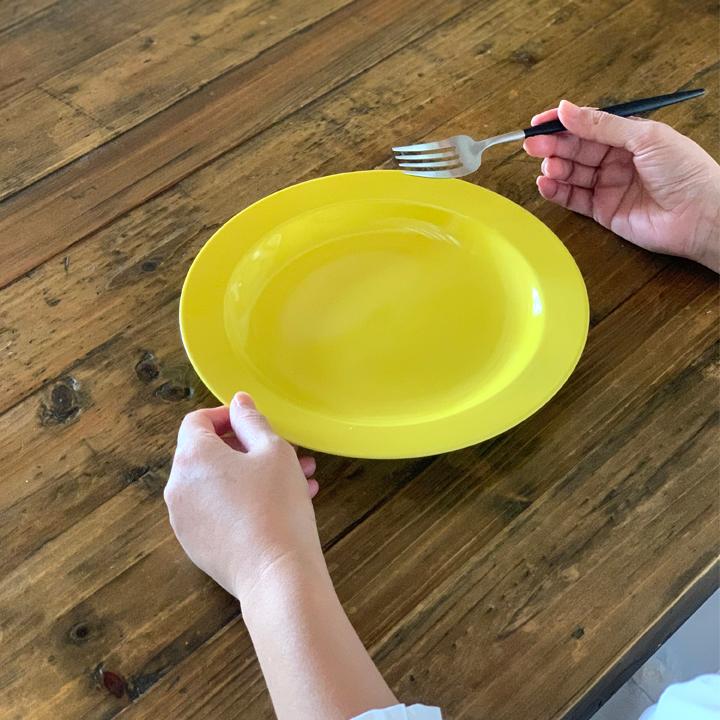 リムプレート 24cm プレート パスタ皿 サラダ皿 食器 おしゃれ お皿