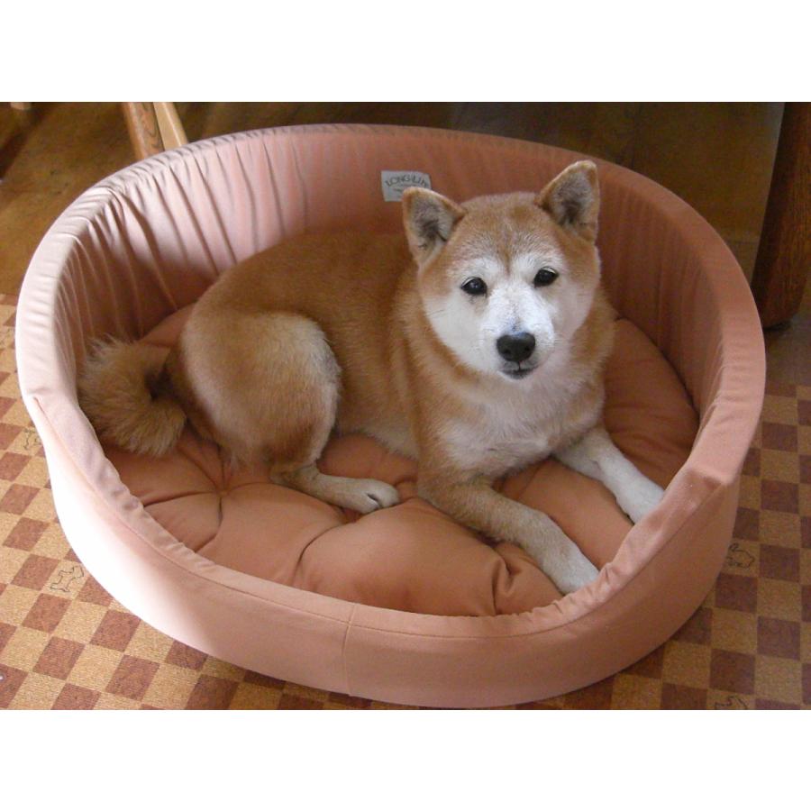 ペットベッド Mサイズ 小型犬用 無地 シャーリング スエード調 高級 