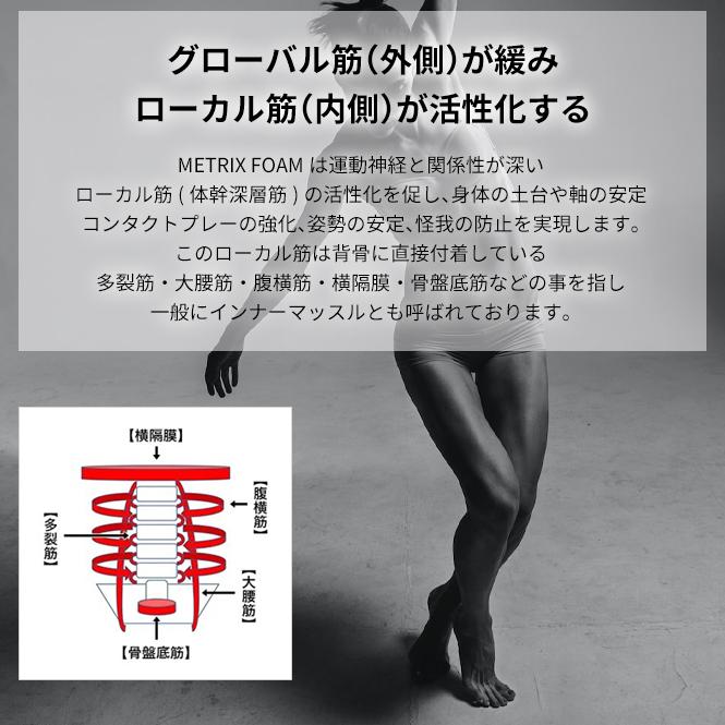 BODYMETRIX（ボディメトリクス） バランスボード エビデンスあり 体幹