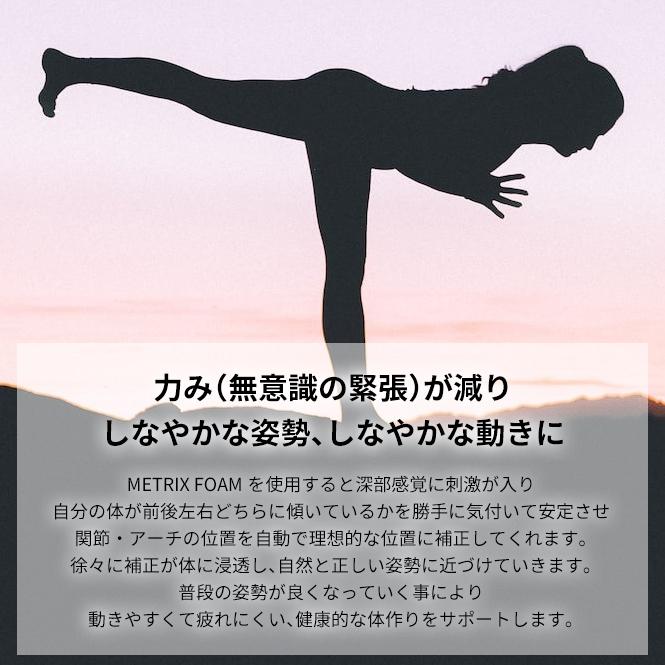 BODYMETRIX（ボディメトリクス） バランスボード エビデンスあり 体幹