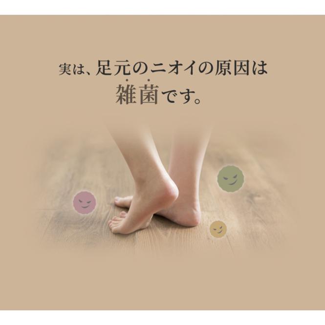 足 靴 消臭 除菌 粉 入れておく 激安単価で 消臭剤 靴の臭い消し 最強 パウダー 携帯用サイズ 消臭グッズ