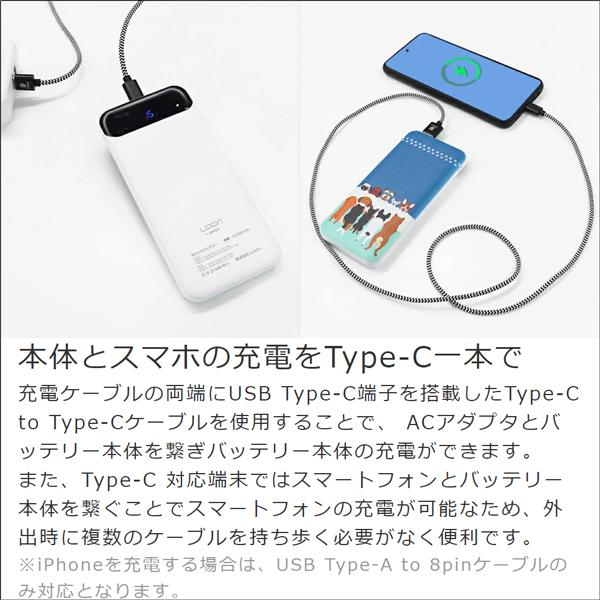 モバイルバッテリー 10000mAh typeC PD 小型 急速充電 22.5W 出力 大容量 スマホ充電器 USBポート コンパクト 柄 犬 猫 動物 植物｜looco-shop｜05