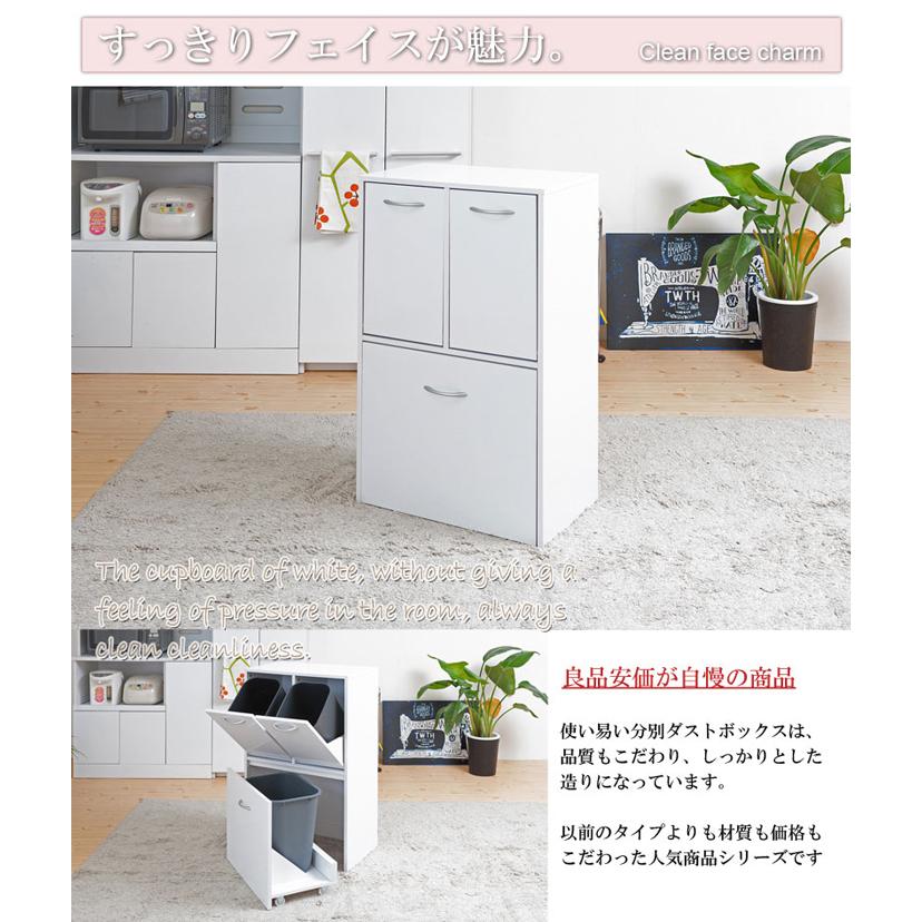 ダストボックス 3分別タイプ 幅54.5cm 薄型 ゴミ箱 分別式ゴミ箱