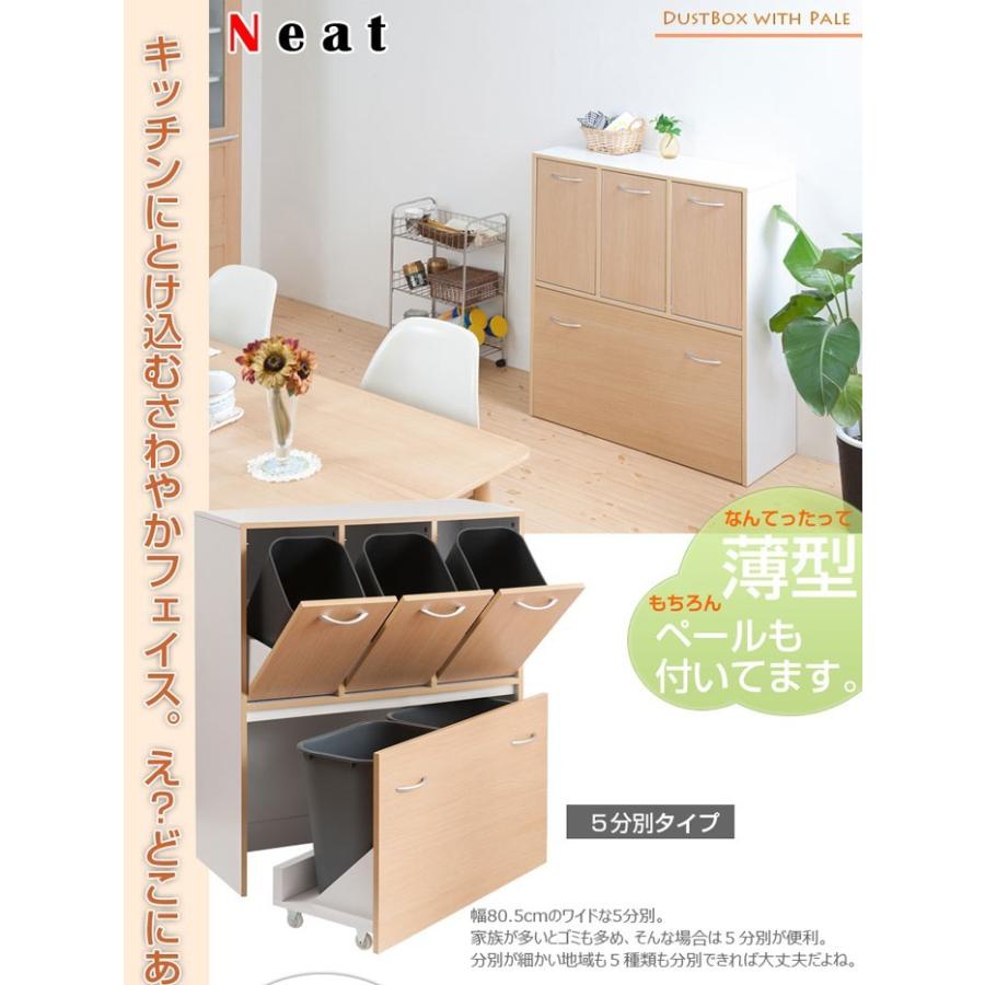 ダストボックス 5分別タイプ ゴミ箱 キッチンゴミ箱 ゴミ収納 キッチン収納 薄型ダストボックス ベール付き ナチュラル Fy 0031 15 Fy 0031 Lookit オフィス家具 インテリア 通販 Yahoo ショッピング
