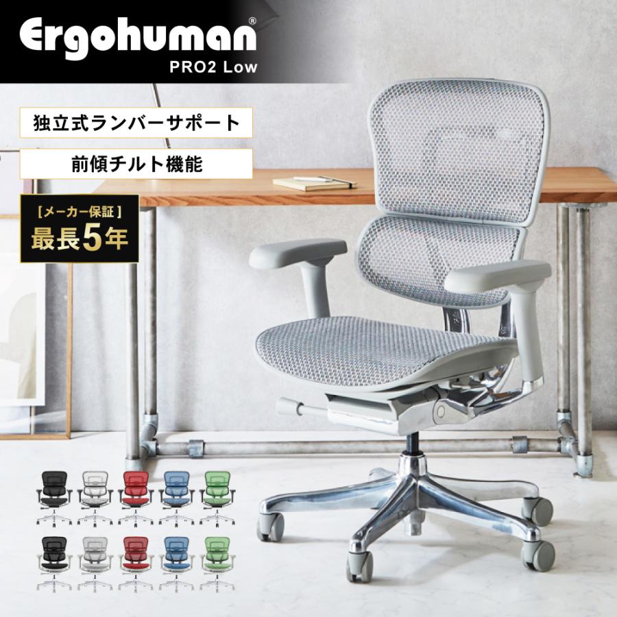 エルゴヒューマン soldout エルゴヒューマンプロ2 Ergohuman Pro2 ロー 
