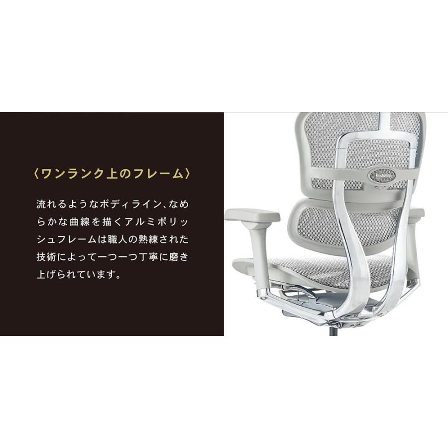 エルゴヒューマンプロ2 Ergohuman Pro2 ロータイプ オフィスチェア 高 