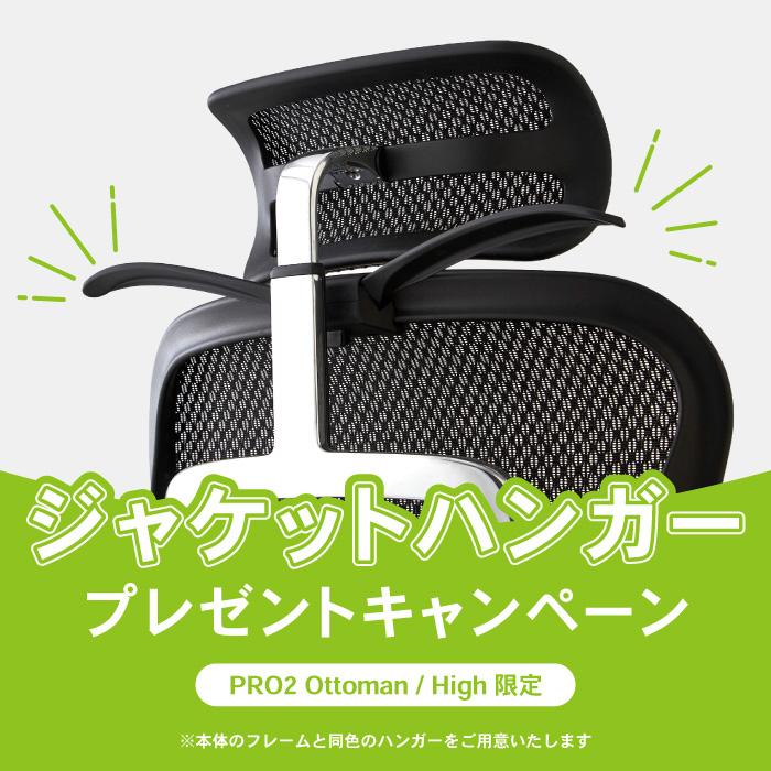 エルゴヒューマン（Ergohuman） エルゴヒューマンプロ2 オットマン