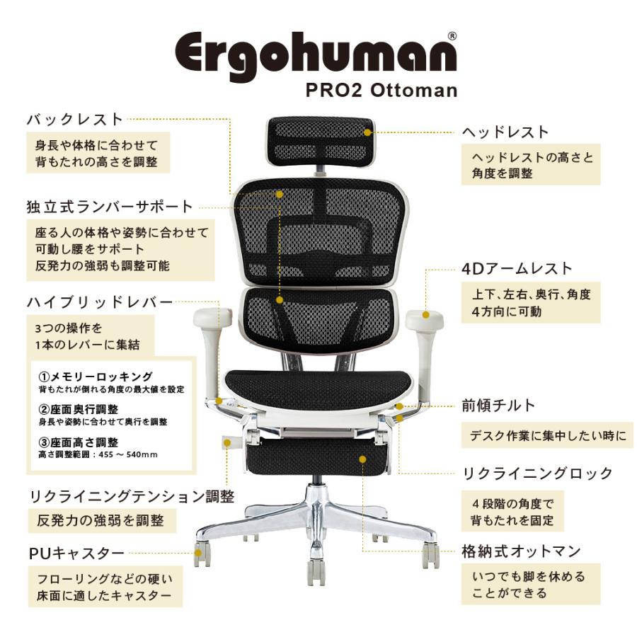 エルゴヒューマン（Ergohuman） エルゴヒューマンプロ2 オットマン