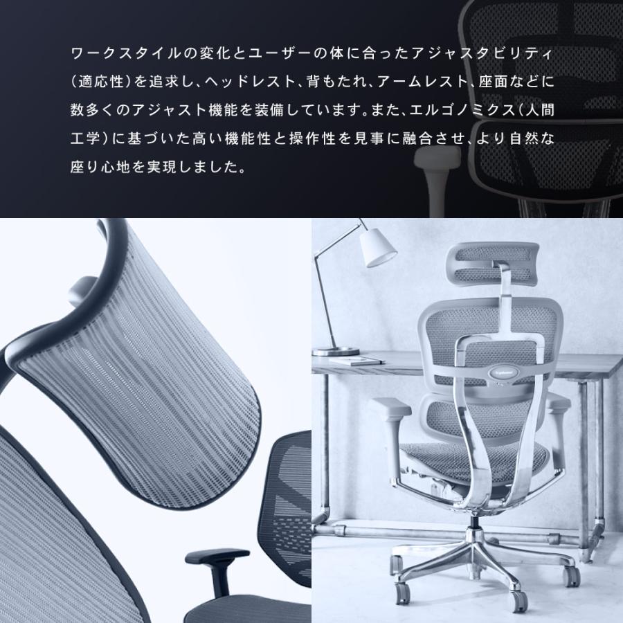 エルゴヒューマン（Ergohuman） エルゴヒューマンエンジョイ2 ハイ