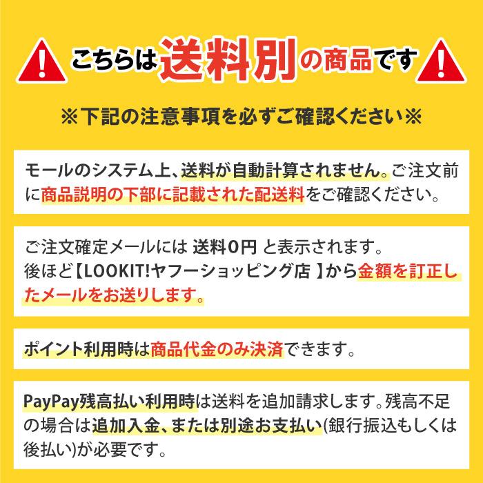 法人限定  コートローラー 注入式 運動場 ローラー グラウンド整備 グランド整備 整備 整地 地ならし 地均し コート整備 コート 教育施設 校庭 日本製 S-2324｜lookit｜04