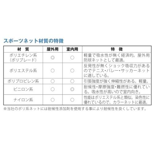 サッカーゴールネット 一般用 ゴールネット サッカー用品 スポーツ用品 サッカー ネット 学校 部活 グラウンド 体育 備品 スポーツ施設 設備 三和体育 S-3411_3