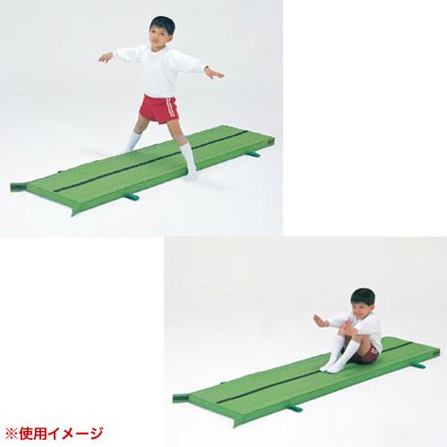 体操マット 5cm厚 4号帆布 すべり止め付 ライン入 60×300×5cm 体育マット 運動マット カラーマット ハーフマット 学校 体育 マット運動 日本製 S-9883-95の画像