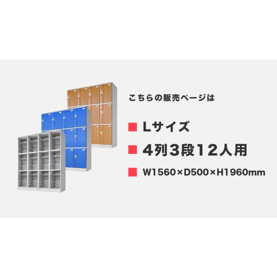 LOOKIT - 可塑性物質ロッカー 12人用 ロッカー 4列3段 宅配ボックス席 シューズロッカー 水洗いする シューズボックス席 授業時間 スウィミングプール 水に揺るぎ無い 露天 分かりやすいロッカー A-390M-43