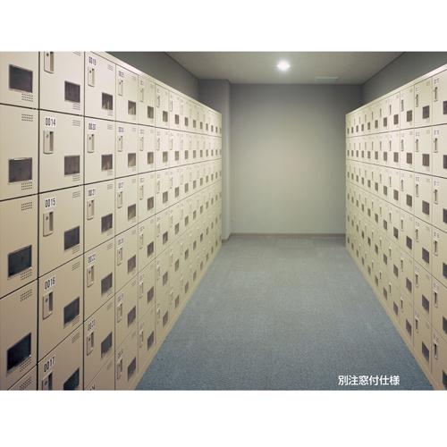 【VIPセール】シューズロッカー 10人用 2列5段 コインリターン錠 コインロッカー 鍵付き 日本製 完成品 下駄箱 シューズボックス オフィス 玄関収納 靴入れ 靴収納 SLB-M10-R