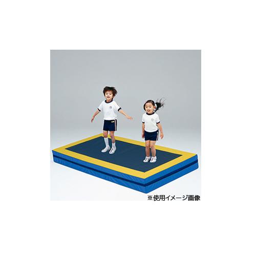 TOEI LIGHT（トーエイライト） 法人限定 ジャンピングマット 体育用品