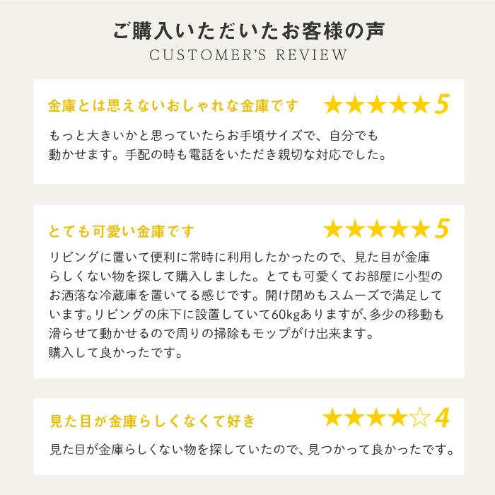 7％OFFクーポン配布中 設置無料  耐火金庫 家庭用 小型 A4 金庫 収納庫 保管 セキュリティーボックス 耐火 36L 金庫に見えない金庫 ディプロマット S-500の画像