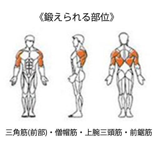 ショルダープレス プルダウン 油圧ジムマシン 筋肉増強 トレーニング 自宅トレーニング 筋トレ トレーニングマシン トレーニングマシーン リハビリ機器 DK-1202_1