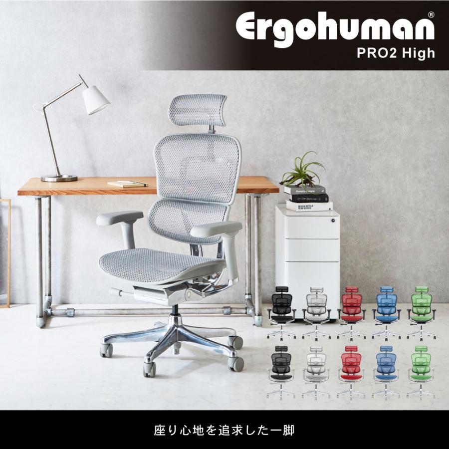 エルゴヒューマンプロ2 Ergohuman Pro2 ハイタイプ オフィスチェア ヘッドレスト 高機能チェア メッシュチェア パソコンチェア PCチェア 椅子 肘付き EHP2-HAM｜lookit｜02