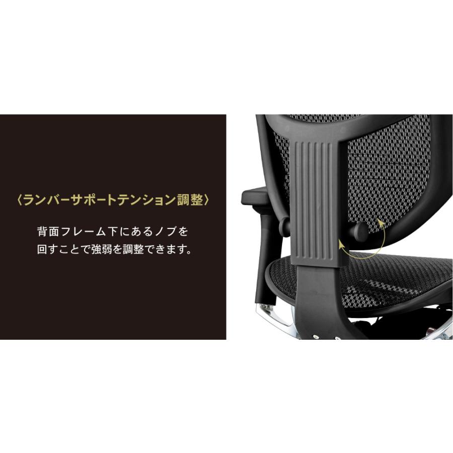 エルゴヒューマン（Ergohuman） エルゴヒューマンエンジョイ2 ロー