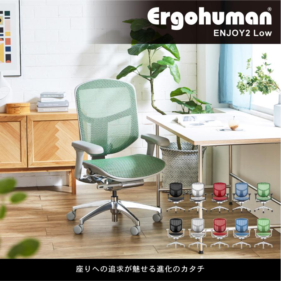 エルゴヒューマン（Ergohuman） エルゴヒューマンエンジョイ2 ロー 