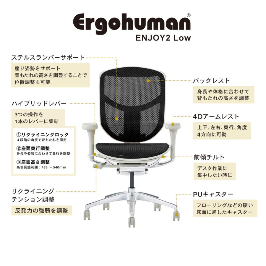 エルゴヒューマン（Ergohuman） エルゴヒューマンエンジョイ2 ロー
