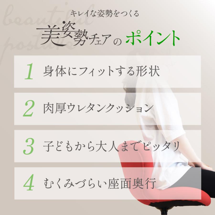 デスクチェア 姿勢矯正 椅子 バランスチェア 姿勢が良くなる 猫背 疲れない 腰痛対策 オフィスチェア 学習椅子 パソコンチェア おしゃれ リモートワーク BIS-1の画像