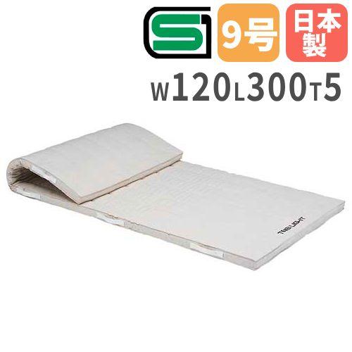 法人限定 体操マット 5cm厚 9号帆布 120×300×5cm コンビネーションマット 体育マット SGマーク付き クッション 学校 トーエイライト T2334 T 2334 : 3y tl t2334 : LOOKIT オフィス家具 インテリア