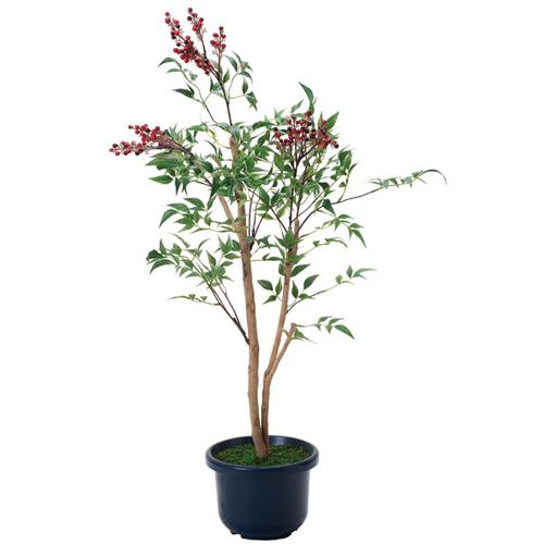 南天 H100cm 鉢植え プラント 3a4903 1 3y W3a4903 1 Lookit オフィス家具 インテリア 通販 Yahoo ショッピング