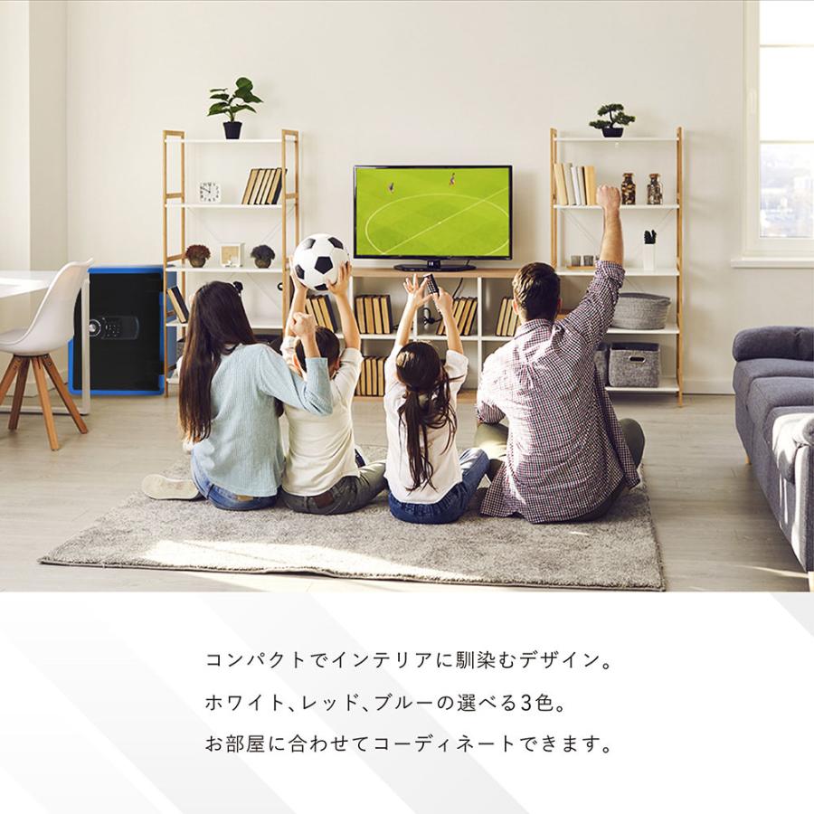 エーコー（EIKO） 耐火金庫 テンキー式 41L 1年保証 1時間 金庫 保管庫