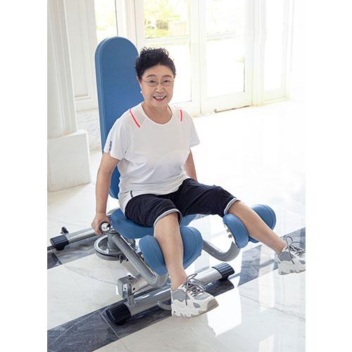 組立設置無料 ヒップアブダクション/アダクション アダクションマシン  