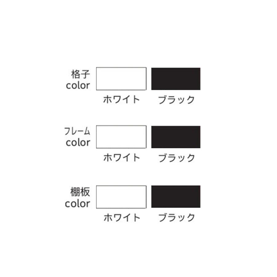 設置無料  スチールラック 2段 幅124×奥行49.6×高さ100cm 間仕切り 収納 軽量ラック スチールシェルフ おしゃれ 目隠し パーテーション 日本製 DR-1210の画像