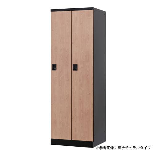 設置無料  ロッカー 2人用 幅600mm IC錠 オール扉タイプ マットブラック スチールロッカー 更衣ロッカー 更衣室 オフィス RKLシリーズ 日本製 RLK-TTC260-BMBの画像