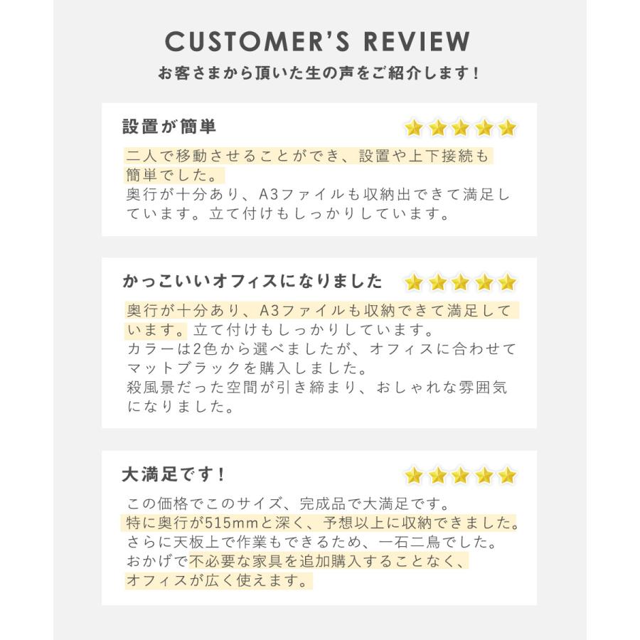 搬入設置無料 スチール引戸書庫 スチール書庫 TSシリーズ オフィス収納 幅1200×奥行400×高さ880mm 浅型 書棚 日本製 国産 オフィス 学校 完成品 TS-43Sの画像