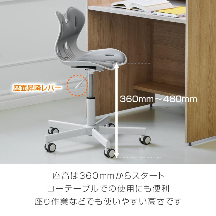 オフィスチェア サポートチェア 骨盤サポートチェア 姿勢 骨盤 姿勢矯正 骨盤サポート 腰痛対策 腰痛 在宅ワーク デスクワーク おしゃれ キャスター付き RC1100の画像