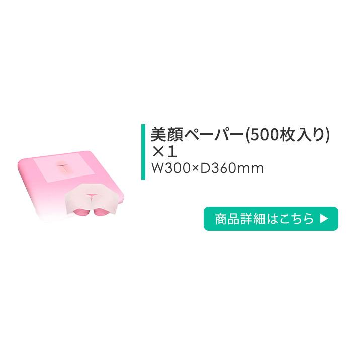高田ベッド製作所 法人限定 施術室 セット 有孔 マッサージベッド 脱衣
