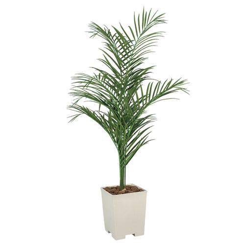 アレカパーム 送料無料 ナチュラル 人工 観葉植物 フェイクグリーン 植木 グリーン 室内 ガーデン インテリア ベランダ 庭 ガーデニング 北欧 Tb 1276 03 7 Tb 1276 03 Lookit オフィス家具 インテリア 通販 Yahoo ショッピング