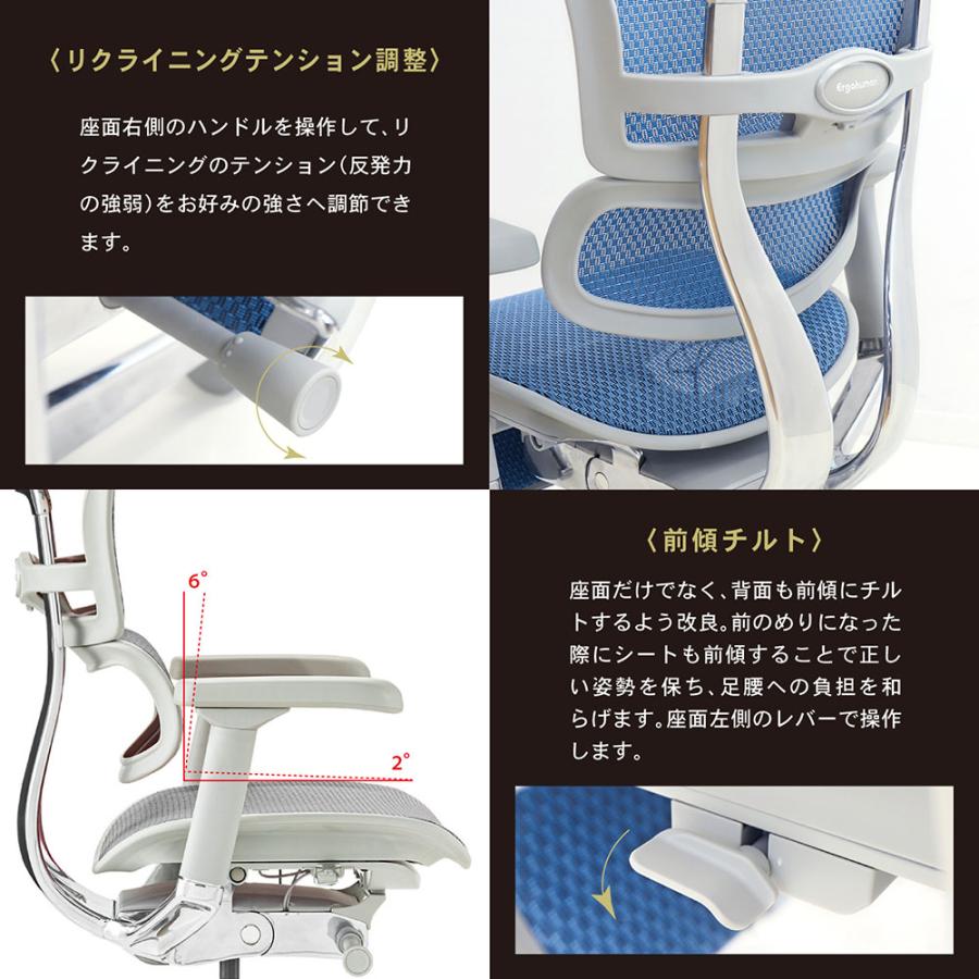 エルゴヒューマンプロ2 Ergohuman Pro2 ロータイプ オフィスチェア 高機能チェア メッシュチェア PCチェア ゲーミング 椅子 肘掛け 肘付 おしゃれ 黒 EHP2-LAM｜lookit｜11