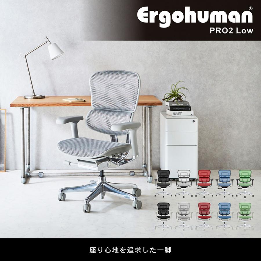 エルゴヒューマンプロ2 Ergohuman Pro2 ロータイプ オフィスチェア 高機能チェア メッシュチェア PCチェア ゲーミング 椅子 肘掛け 肘付 おしゃれ 黒 EHP2-LAM｜lookit｜02