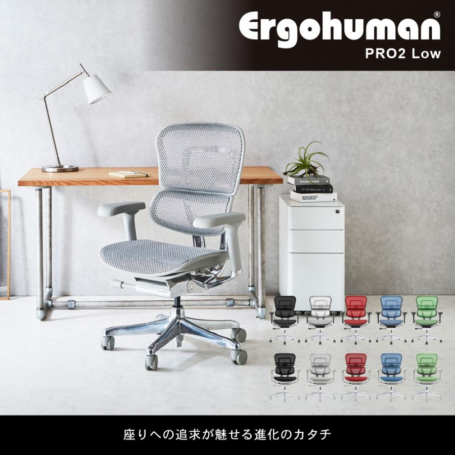 エルゴヒューマン（Ergohuman） エルゴヒューマンプロ2 ロータイプ