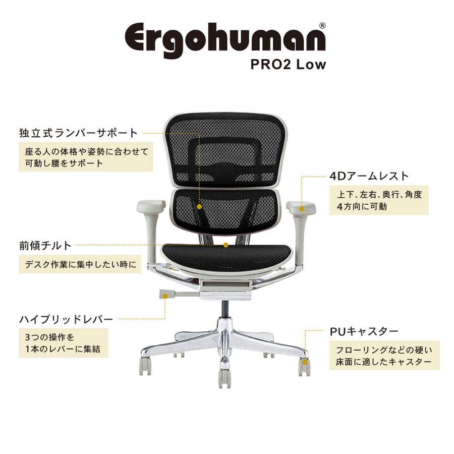 エルゴヒューマンプロ2 Ergohuman Pro2 ロータイプ オフィスチェア 高機能チェア メッシュチェア PCチェア ゲーミング 椅子 肘掛け 肘付 おしゃれ 黒 EHP2-LAM｜lookit｜06