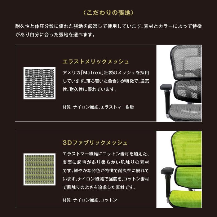 エルゴヒューマンベーシック Ergohuman Basic オフィスチェア 椅子 高機能チェア メッシュチェア 【EYCIYC】 ヘッドレストなし EH-LAM