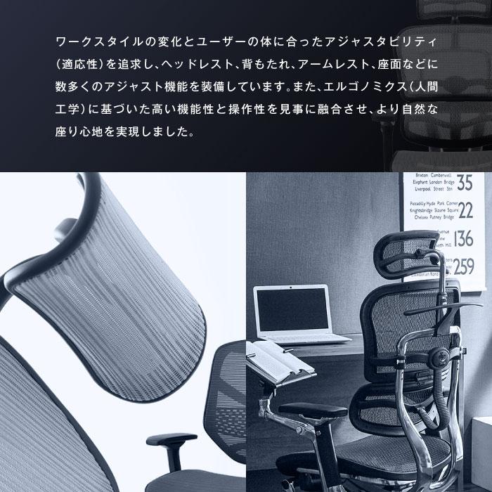 エルゴヒューマンベーシック Ergohuman Basic オフィスチェア 椅子 高機能チェア メッシュチェア 【EYCIYC】 ヘッドレストなし EH-LAM