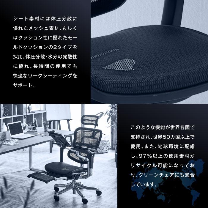 エルゴヒューマンベーシック Ergohuman Basic オフィスチェア 椅子 高機能チェア メッシュチェア 【EYCIYC】 ヘッドレストなし EH-LAM
