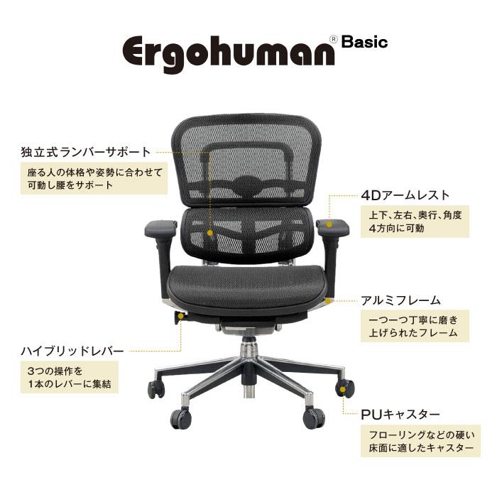 エルゴヒューマンベーシック Ergohuman Basic オフィスチェア 椅子 高機能チェア メッシュチェア 【EYCIYC】 ヘッドレストなし EH-LAM
