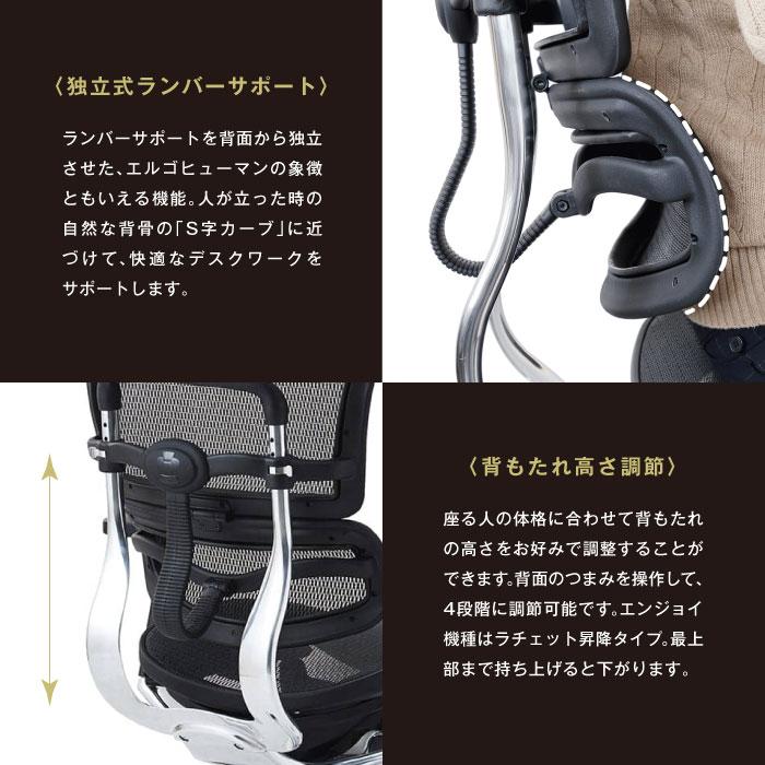エルゴヒューマンベーシック Ergohuman Basic オフィスチェア 椅子 高機能チェア メッシュチェア 【EYCIYC】 ヘッドレストなし EH-LAM
